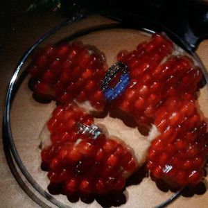 国产精品视频国产综合
