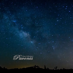 亚洲精品国产自在在线观看av
