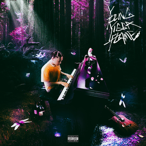 亚洲精品国产自在在线观看av
