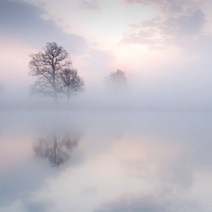 鸣人❌春野樱爆乳黄漫
