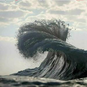 万紫千红钢管舞12
