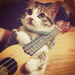 国产日产欧产精品网站
