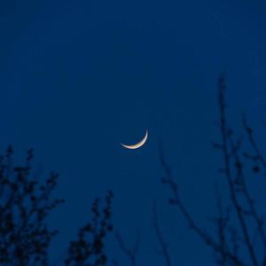 最新一本之道波多野结衣
