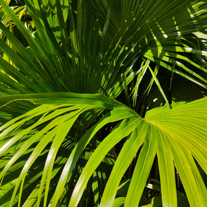 免费看中国老头logo老年镖客的视频
